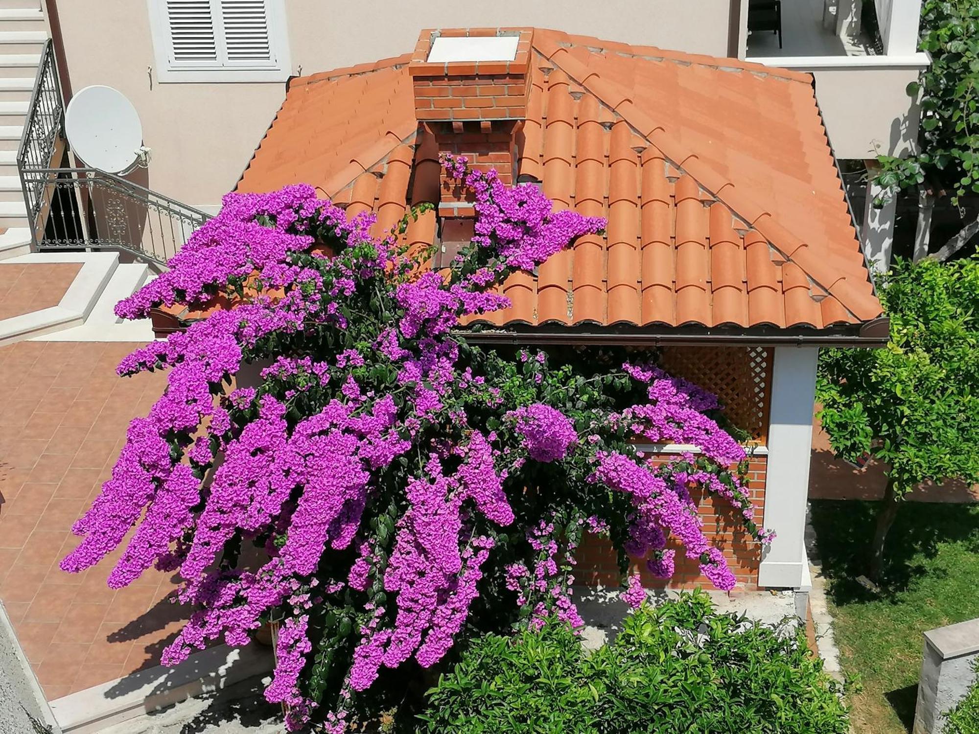 Green Park Apartments 2 Dubrovnik Dış mekan fotoğraf