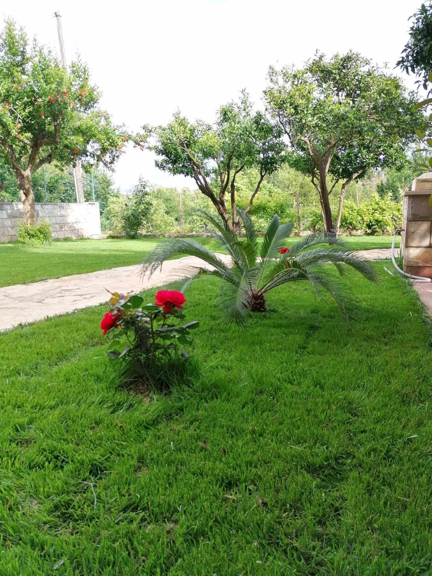 Green Park Apartments 2 Dubrovnik Dış mekan fotoğraf